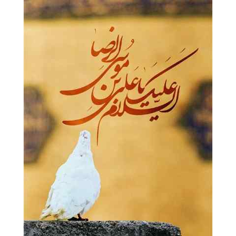 دانلود مولودی امام رضا صوتی دانلود مولودی امام رضا صوتی