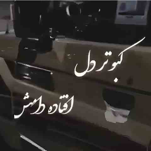 کبوتر دل افتاده دامش ریمیکس