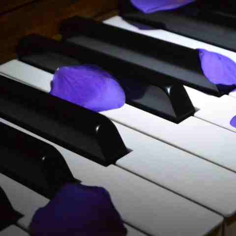 آهنگ خودم تنها تنها دلم پیانو و گیتار