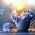 آهنگ کی بهتر از تو بی کلام