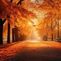 آهنگ سلام من به تو یار قدیمی بی کلام