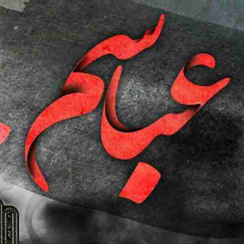 هی شاخه یاسم همه عالم بدونن من سگ عباسم