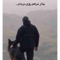 بذار مرهم روی دردام شدم تنهاتر از تنها ریمیکس