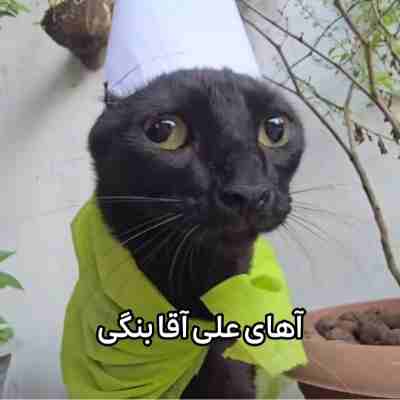 آهای علی آقا بنگی مازندرانی