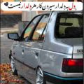 مو به دیوار دل دلبر نوشتم تو دارم تو دارم