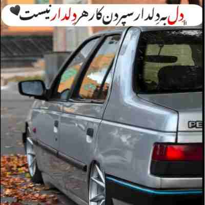 مو به دیوار دل دلبر نوشتم تو دارم تو دارم مو به دیوار دل دلبر نوشتم تو دارم تو دارم
