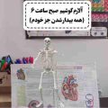 آهنگ بیدار شو دین دین دین