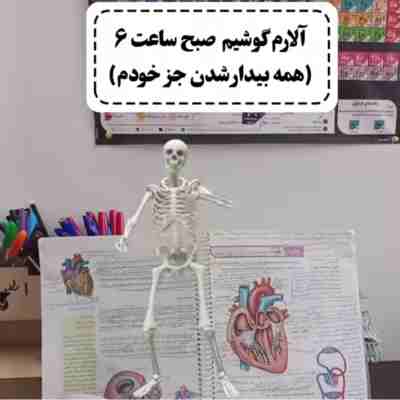 آهنگ بیدار شو دین دین دین آهنگ بیدار شو دین دین دین