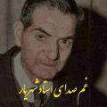 پیرمو گاهی دلم یاد جوانی میکند شهریار ریمیکس
