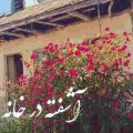 آهنگ آشفته در خانه خانه ی ویرانه