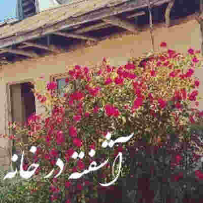آهنگ آشفته در خانه خانه ی ویرانه