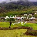 تو که میری سفر تنها میشم من ایرج حبیبی