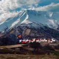 رضا میران مال و مالداریم کل و خرت بو