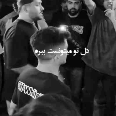 دلتو میتونست بره ولی خب عرضه نداشت دلتو میتونست بره ولی خب عرضه نداشت