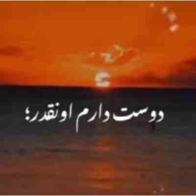 دوست دارم اونقدر که لنگم باشم واسه تو پول هست ریمیکس