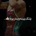 پلنگ بیشه ویشار بیه جواد عباسی