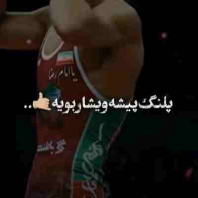 پلنگ بیشه ویشار بیه جواد عباسی
