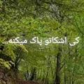کی اشکاتو پاک میکنه شبا که غصه داری ریمیکس