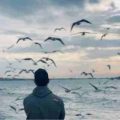 گذشتم از همه این ادمای دور و بر ریمیکس