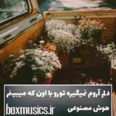 دانلود آهنگ دلم آروم نمیگیره تورو با اون که میبینم هوش مصنوعی