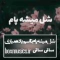 آهنگ شل میشه پام تا اسم باده میاری ساقی ساقی با صدای زن