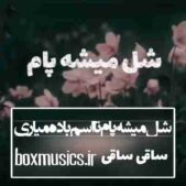 دانلود آهنگ شل میشه پام تا اسم باده میاری ساقی ساقی با صدای زن