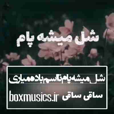 آهنگ شل میشه پام تا اسم باده میاری ساقی ساقی با صدای زن